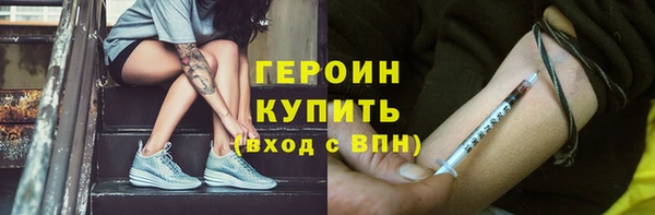 прущие грибы Тавда