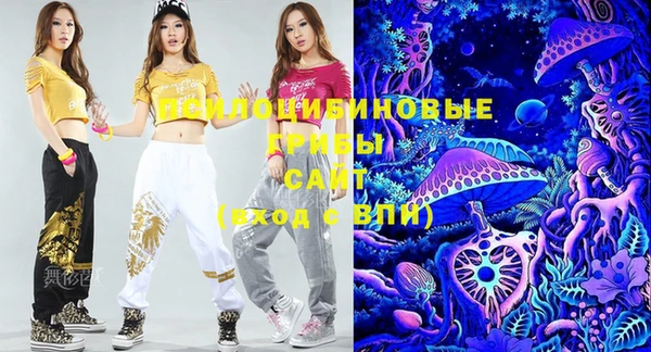 спайс Тайга