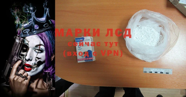 прущие грибы Тавда